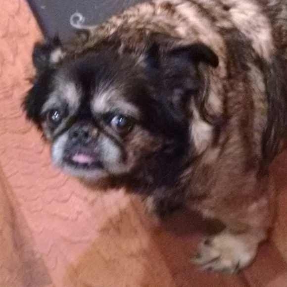 We love bundles !!! Just so you know !!! - Picture 1 of 1